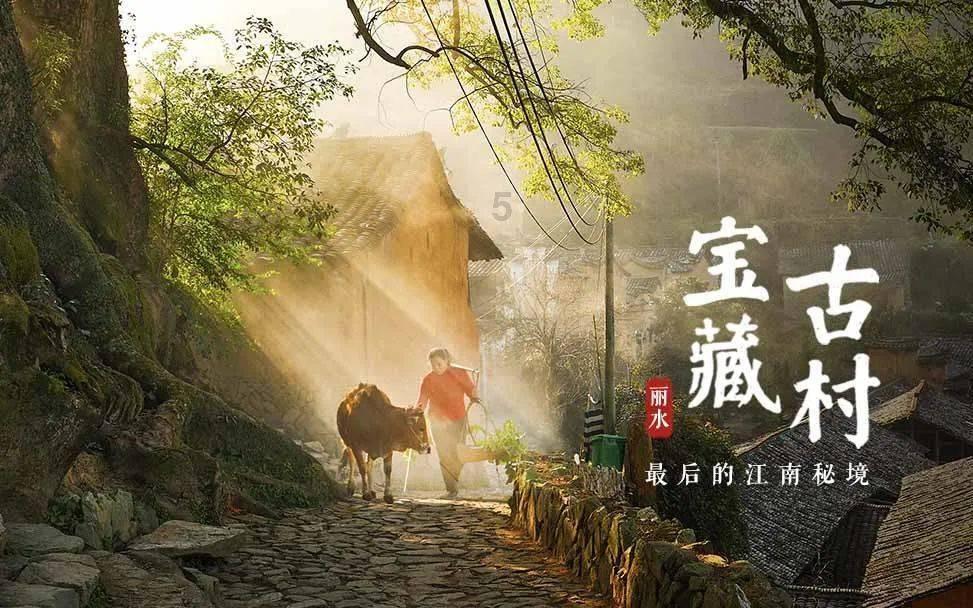洋葱泡红酒吃了有什么作用?-专业的知识问答网页